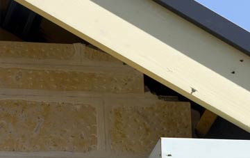 soffit repair Parham