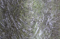 Parham fibreglass roof work